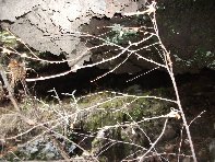rrente Quarantore-201011107 156